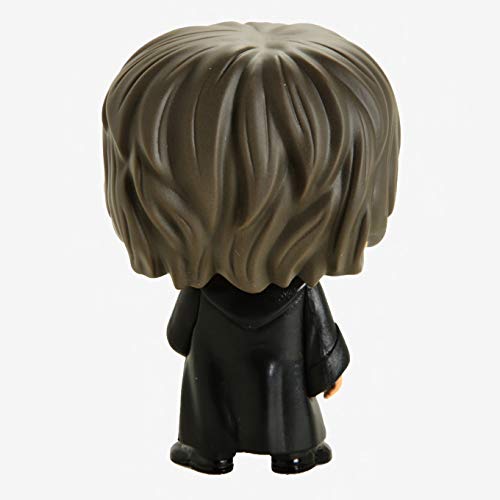 Funko Pop! Figura de Vinilo: Harry Potter S7 - Harry Potter (Yule), Multicolor, Talla Única