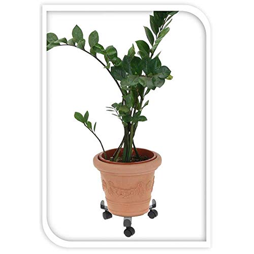 GEEZY - Soporte para plantas con ruedas (extensible, 30 cm)