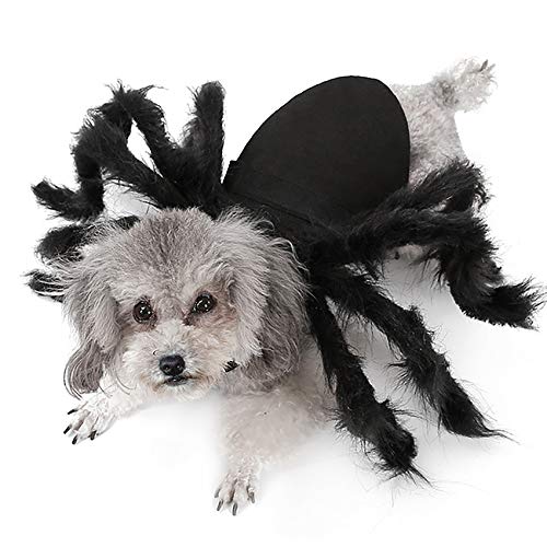 Geneic Disfraces de Halloween para Perros Gatos Mascotas Ropa Arañas Horribles Mascotas Divertidas Disfraz de Cosplay Pequeño Tamaño Mediano (S)