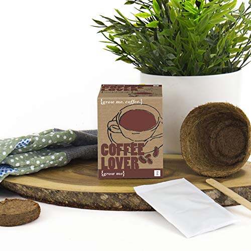 Gift Republic GR130003 Grow Me Coffee Lover - Set para Plantar Semillas de café