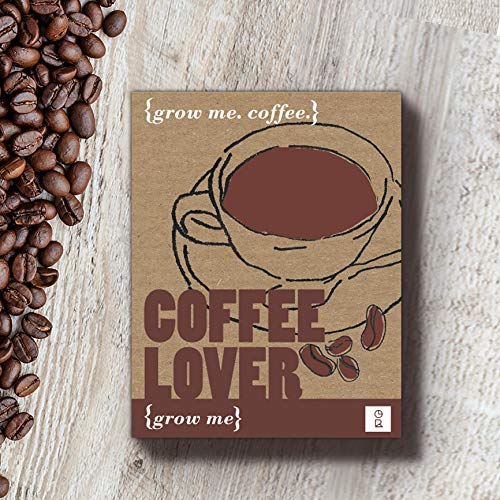 Gift Republic GR130003 Grow Me Coffee Lover - Set para Plantar Semillas de café