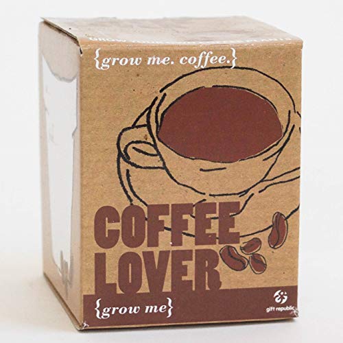 Gift Republic GR130003 Grow Me Coffee Lover - Set para Plantar Semillas de café