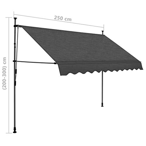 Goliraya Toldo Manual retráctil con LED Toldo para Bar Toldo Terraza Toldos Impermeables Exterior, Gris Antracita 250 cm