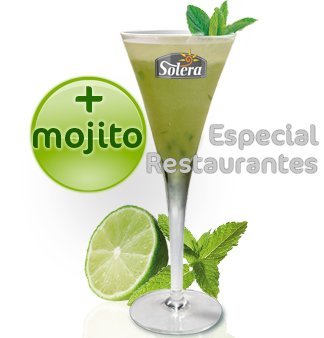 Granizado Sorbete o Cóctel de MOJITO (1+4)(1+2) - 12 Brik de 1 Litro concentrado - 60 o 36 Litros de producto terminado (según preparación)