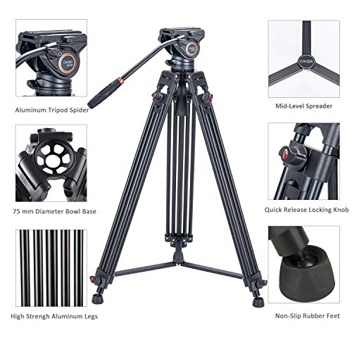 Heavy Duty Video Tripod, Cayer 64 Pulgadas BV30-Camcorder Sistema de trípode Pierna de Aluminio, K3 Fluid Head, Esparcidor de Nivel Medio, Carga máxima 13.2 LB, DSLR ShootingLR Shooting