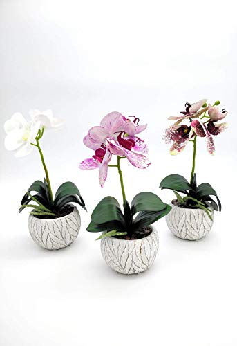 Home Decor 4 U - Orquídea artificial en maceta, (32 cm), Phalaeonopsis, planta artificial, orquídea, flor artificial, centro de mesa, orquídea falsa, plantas falsas, flores artificiales (blanco 32 cm)