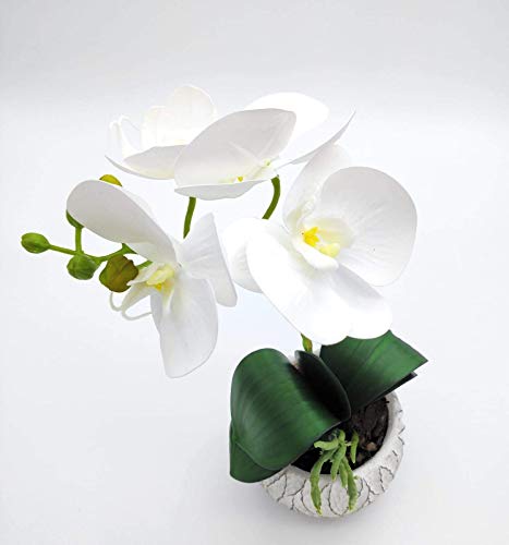 Home Decor 4 U - Orquídea artificial en maceta, (32 cm), Phalaeonopsis, planta artificial, orquídea, flor artificial, centro de mesa, orquídea falsa, plantas falsas, flores artificiales (blanco 32 cm)