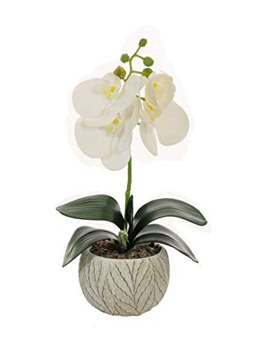 Home Decor 4 U - Orquídea artificial en maceta, (32 cm), Phalaeonopsis, planta artificial, orquídea, flor artificial, centro de mesa, orquídea falsa, plantas falsas, flores artificiales (blanco 32 cm)