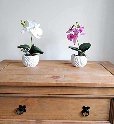 Home Decor 4 U - Orquídea artificial en maceta, (32 cm), Phalaeonopsis, planta artificial, orquídea, flor artificial, centro de mesa, orquídea falsa, plantas falsas, flores artificiales (blanco 32 cm)