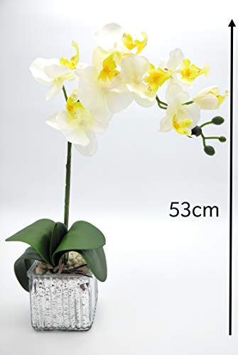 Home Decor 4 U Orquídea artificial, orquídea polilla, planta artificial, orquídea con maceta de cromo cubo, centro de flores artificiales, orquídeas falsas, plantas falsas, flores artificiales