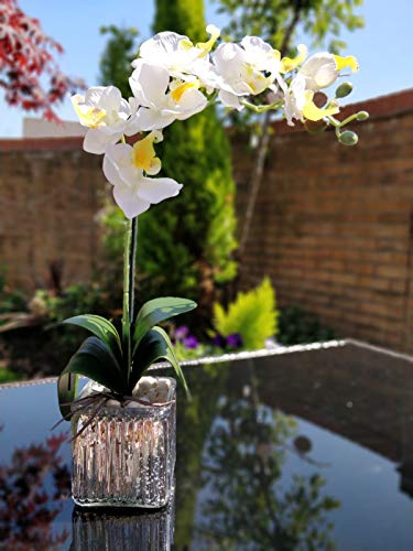 Home Decor 4 U Orquídea artificial, orquídea polilla, planta artificial, orquídea con maceta de cromo cubo, centro de flores artificiales, orquídeas falsas, plantas falsas, flores artificiales