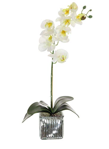 Home Decor 4 U Orquídea artificial, orquídea polilla, planta artificial, orquídea con maceta de cromo cubo, centro de flores artificiales, orquídeas falsas, plantas falsas, flores artificiales