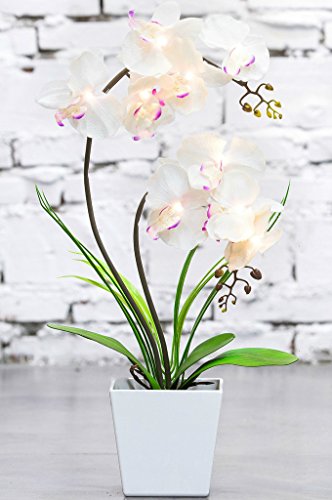 Homeseasons - Arreglo de flores artificiales iluminadas con LED - Maceta de orquídeas operada por batería con 9 luces.