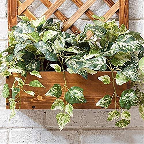 HTDZDX Montado en la Pared del jardín Rectangular de Madera Planter con cedazo por un jardín de Las vides Flor de Escalada Tiesto Caja de jardín Patio de Madera Panel Enrejado - L: 30cmW: 16cmH: 60cm