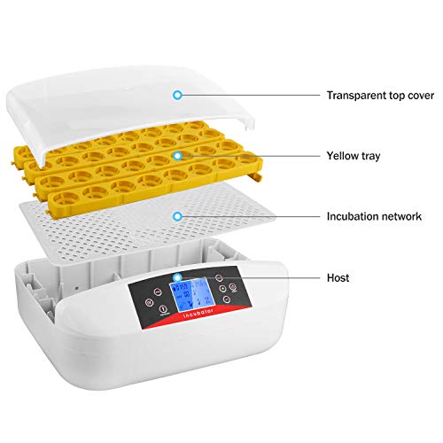 Incubadora de huevos digital transparente con giro automático de huevos y control de temperatura y humedad, vela LED, incubadora de 32 huevos