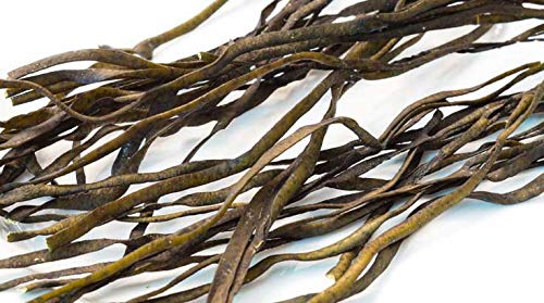 Indigo Herbs Espagueti de Mar Algas 50g Orgánicos - Irlandés Cosechado - Sea Spaghetti