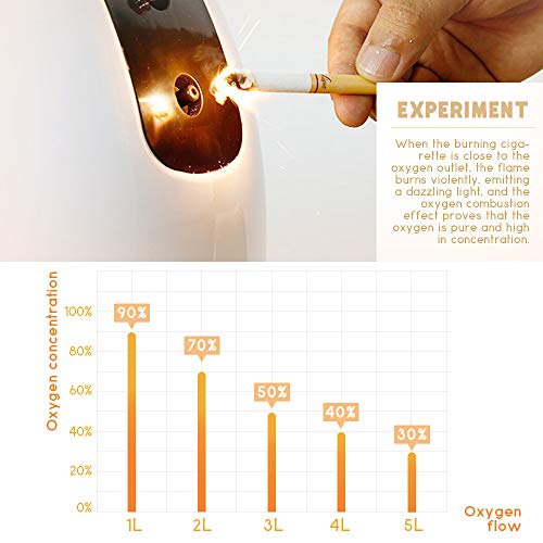 InLoveArts Concentrador de oxígeno Portatil 1-7 L/min Generador de oxígeno ajustable 93% alta pureza, Generador de Oxígeno para uso doméstico 24 horas de trabajo continuo 220V