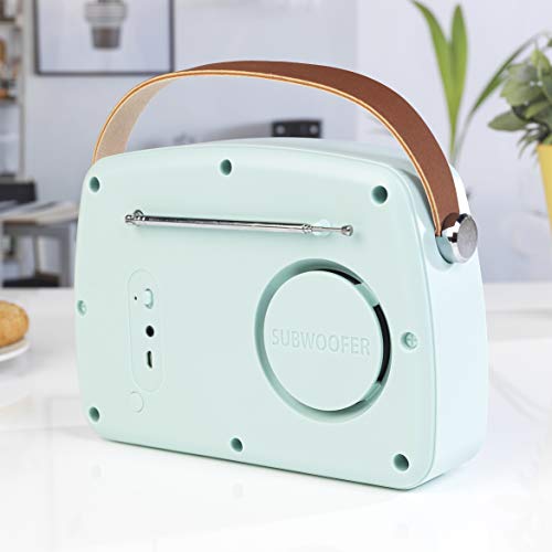 INTEMPO EE3332BLUSTKEU Rechargeable Bluetooth Speaker with FM Radio and Leather Carry Strap for iPhone, Android or Other Smart Devices, 5 W Speaker Output with Micro USB Charging Cable, Blue