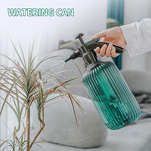 Iraza - Vaporizador de plantas, 2 l, vacío, regadera de jardín, a presión, vaporizador, planta, interior de plástico, regadera de botella, boquilla ajustable con 2 modos de riego para plantas, flores