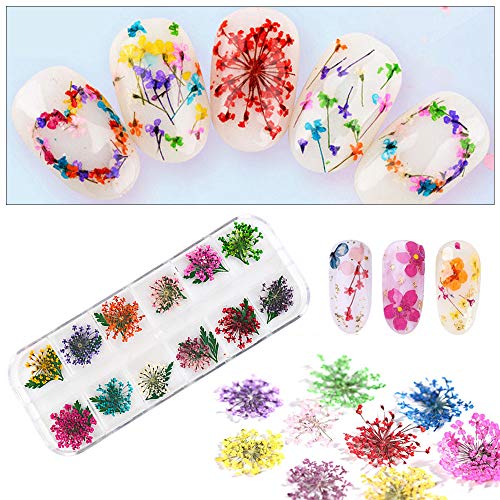 IWILCS 3D Apliques de Uñas, Dried Flowers for Nail Art, Arte de Uñas Accesorio, flor de encaje, flor de cinco pétalos, flor de margarita, hortensia, hoja, para DIY Decoración de Uñas(Multicolor)