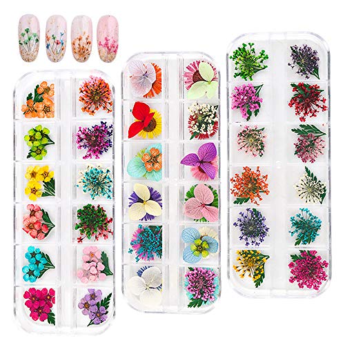 IWILCS 3D Apliques de Uñas, Dried Flowers for Nail Art, Arte de Uñas Accesorio, flor de encaje, flor de cinco pétalos, flor de margarita, hortensia, hoja, para DIY Decoración de Uñas(Multicolor)