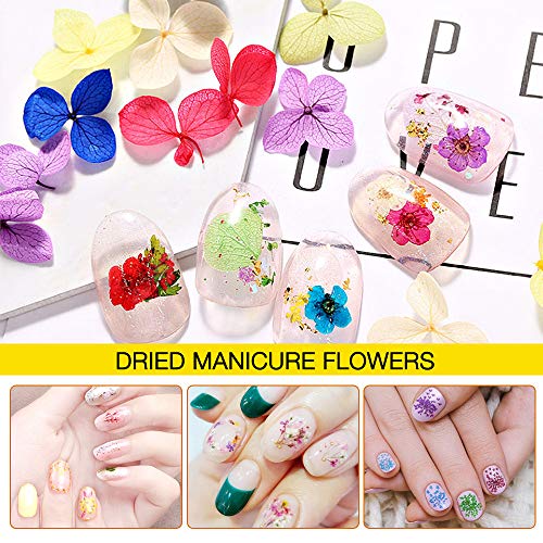 IWILCS 3D Apliques de Uñas, Dried Flowers for Nail Art, Arte de Uñas Accesorio, flor de encaje, flor de cinco pétalos, flor de margarita, hortensia, hoja, para DIY Decoración de Uñas(Multicolor)