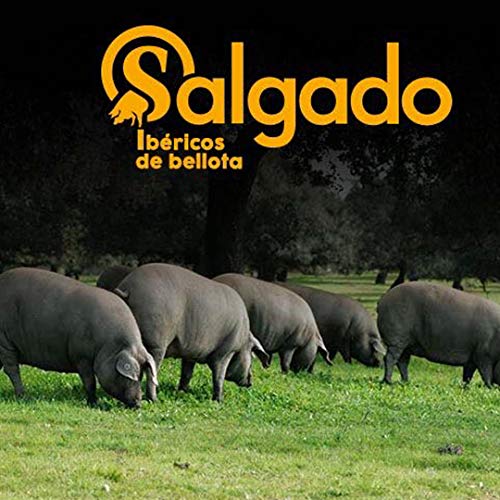 Jamón Ibérico de Bellota Salamanca (Paleta) - Pata Negra - 100% Raza Ibérica. Peso aprox 4,5-.5 kg. Criados en libertad alimentados de Bellota. Mínimo 30 Meses de curación.