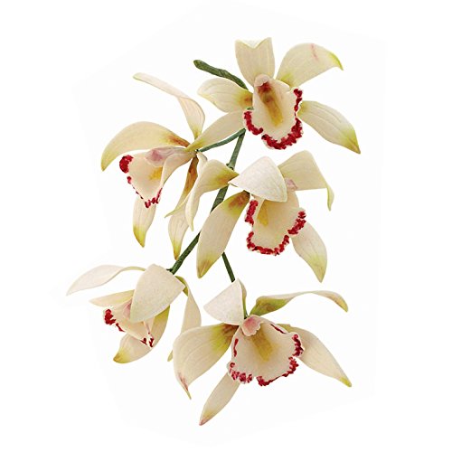 JEM Cortador de Orquídeas Medianas Cymbidium, Juego de 8