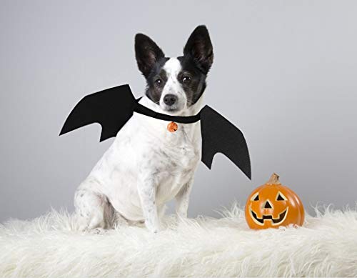 Joyibay Alas de Perro, Disfraz de Halloween para Perros Alas de Murciélago para Perros de Halloween Disfraces de Fiesta para Mascotas para Perros Fiesta Temática de Vacaciones de Halloween