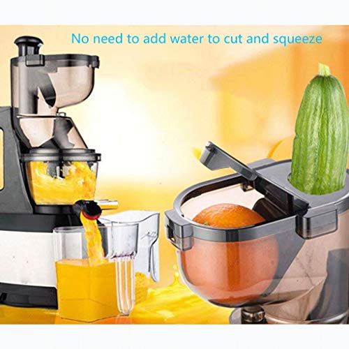 JTGYA Exprimidor Masticador Juicer Lento con Motor silencioso Eficiente Diseño Compacto Máquinas exprimidoras Fácil de Limpiar con Recetas de Jugo, brocha, exprimidor en frío