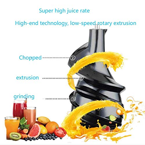 JTGYA Exprimidor Masticador Juicer Lento con Motor silencioso Eficiente Diseño Compacto Máquinas exprimidoras Fácil de Limpiar con Recetas de Jugo, brocha, exprimidor en frío