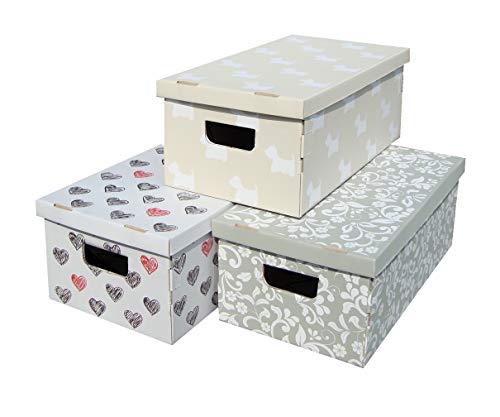 Kanguru LAVATELLI, Conjunto de 3 Cajas en Carton, Gris/Blanco, 29x51x21 cm, Flores, 29x51x20 cm