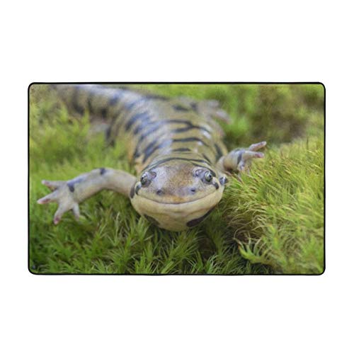 KATERN Alfombrilla baño, Alfombra de Cocina Puerta Pies Estera Felpudo,Salamandra Tigre Sonriendo y arrastrándose 75X45cm