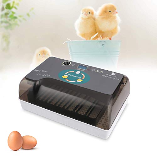 KKTECT Incubadora de Huevos de 12 Huevos Máquina nacedora Huevo Giratorio automático de Temperatura Ajustable para Huevos de gallina, Huevos de Pato, Huevos de Paloma, Huevos de Ganso