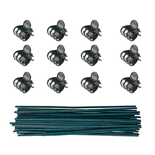 kungfu Mall 50 Unidades de Soporte de Plantas PC 12 Pulgadas de bambú Florales con 100 PCS Clips de Soporte de Plantas Clips de jardín Flor de la orquídea Clips Clips