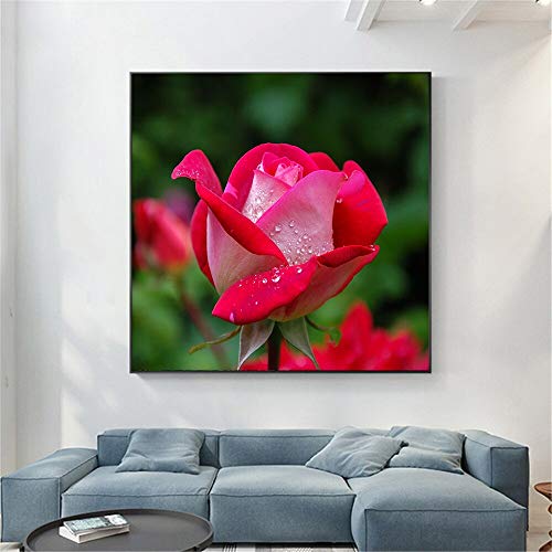 KWzEQ Decoración de Primavera Gota de rocío Flora Flor Clavel Rosa Cartel e impresión decoración del hogar,Pintura sin Marco,60X60cm