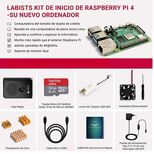 LABISTS Raspberry Pi 4 Model B Kit de 2 GB con SD de 32GB Clase 10, Ventilador, 3 Disipadores de Calor, Micro HDMI, Lector de Tarjetas, Caja Negra y Destornillador