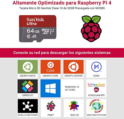 LABISTS Raspberry Pi 4 Model B Kit de 2 GB con SD de 32GB Clase 10, Ventilador, 3 Disipadores de Calor, Micro HDMI, Lector de Tarjetas, Caja Negra y Destornillador