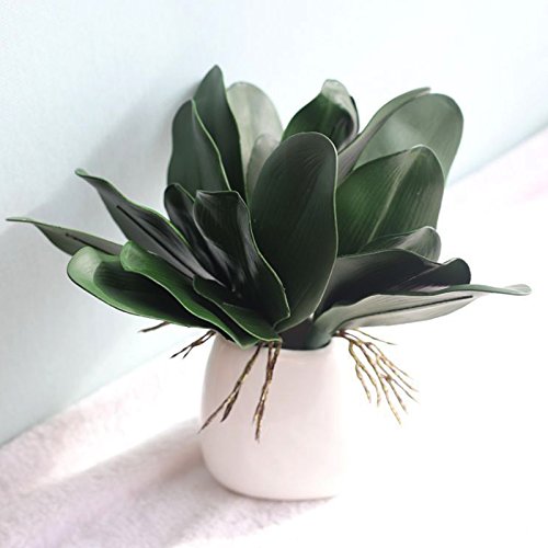 LAMF - Hojas de orquídeas artificiales verdes de Phalaenopsis, 5 pétalos para decoración de bonsái