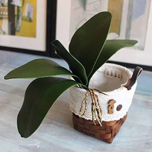 LAMF - Hojas de orquídeas artificiales verdes de Phalaenopsis, 5 pétalos para decoración de bonsái