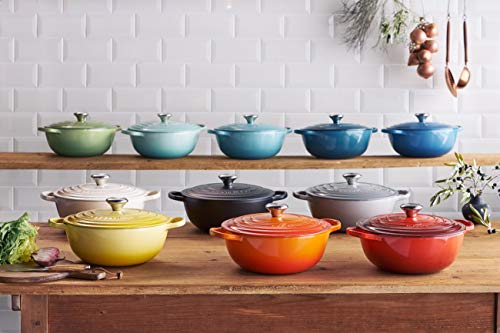 Le Creuset Cacerola Evolution con tapa, diametro 26 cm, La Marmite, Redonda, Todas las fuentes de calor incluso inducción, 4.1 l, Azul Caribe