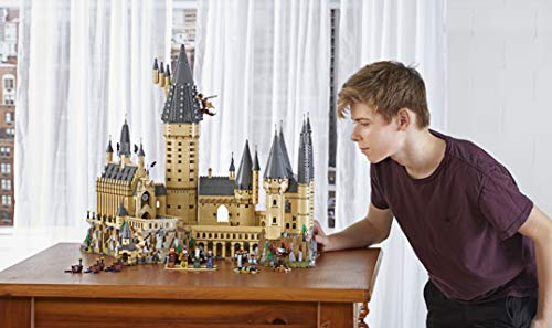 LEGO Harry Potter TM-Castillo de Hogwarts, maqueta de juguete para construir la escuela de magía, incluye varios personajes de la saga (71043) , color/modelo surtido