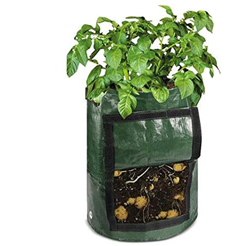 LEY 2 Paquete de 10 galones de Patata Bolsas de Crecimiento Vegetal Dos Ventana SidesVelcro Bolsas de Crecimiento, de Doble Capa Superior de Tela no Tejida Transpirable