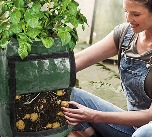 LEY 2 Paquete de 10 galones de Patata Bolsas de Crecimiento Vegetal Dos Ventana SidesVelcro Bolsas de Crecimiento, de Doble Capa Superior de Tela no Tejida Transpirable