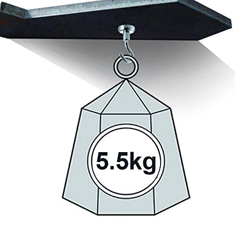 Lictin 6 pzas Ganchos magnéticos 34kg 75lbs de Fuerza de Atracción Imán Potente del Neodimio Ultra fuertes 32mm Diámetro (10 PCS)