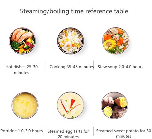 LINANNAN Calefacción eléctrica Caja de Almuerzo del Ministerio del Uso del calientaplatos portátil Bento Calentador de Comidas con Acero Inoxidable de Contenedores, Mini Cocina de arroz