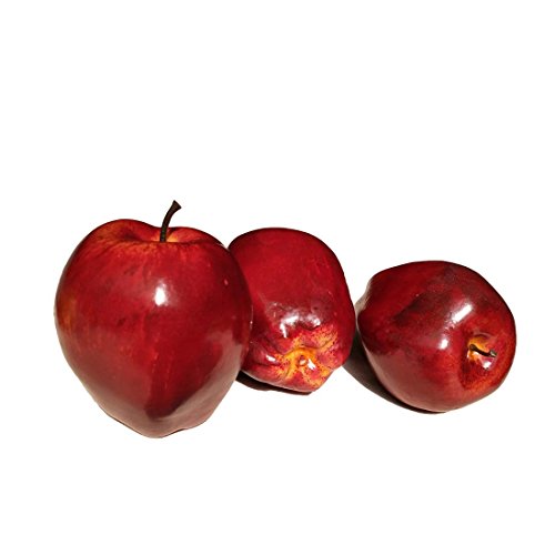 Lorigun Manzanas Artificiales Frutas Falsas Manzanas Deliciosas para La Decoración, Frutas Decorativas, Grandes Manzanas Rojas De Faux 5 Pcs