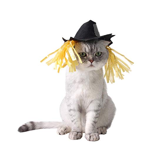 LQH Perro doméstico del Gato de Halloween de Vacaciones espantapájaros Sombrero de Vestir de Cosplay del Traje del Sombrero (Size : 2)