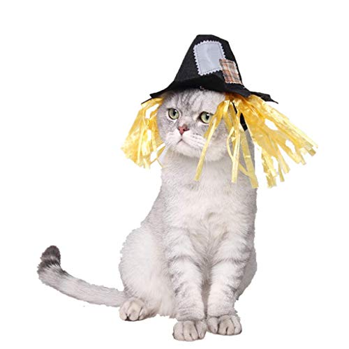 LQH Perro doméstico del Gato de Halloween de Vacaciones espantapájaros Sombrero de Vestir de Cosplay del Traje del Sombrero (Size : 2)