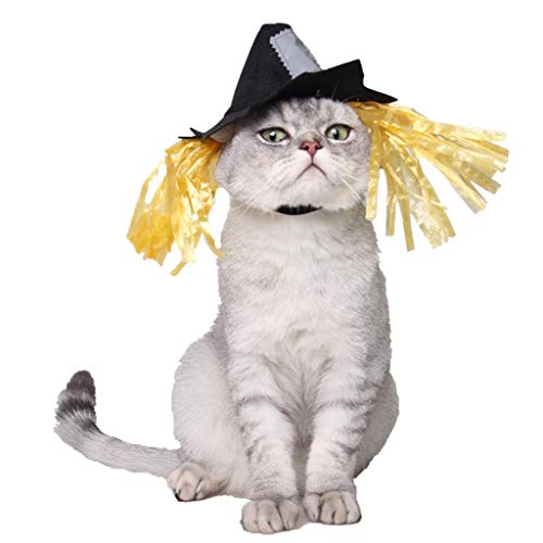 LQH Perro doméstico del Gato de Halloween de Vacaciones espantapájaros Sombrero de Vestir de Cosplay del Traje del Sombrero (Size : 2)